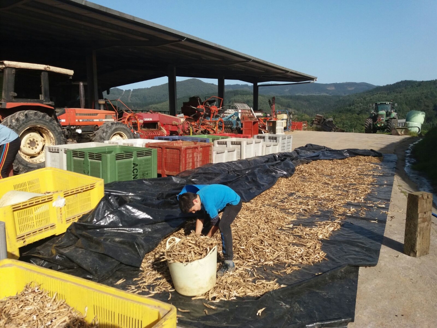 Preparando el &uacute;ltimo lunes de octubre